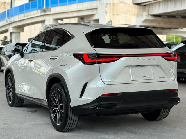 2024 Lexus NX250 2.5 VERSION L PAN ROOF HUD DIM - 2