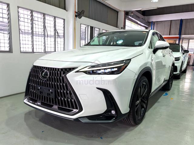 2022 Lexus NX250 2.5 LUXURY (A) - 1
