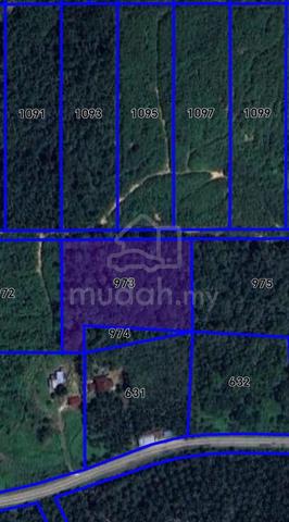 Tanah Mukim Tawar Baling Untuk Di Jual 1
