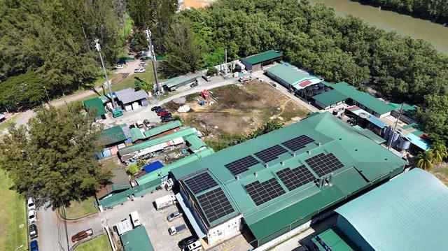 Warehouse and Profit business for sale | Kota Kinabalu | Seafood |Sale 1