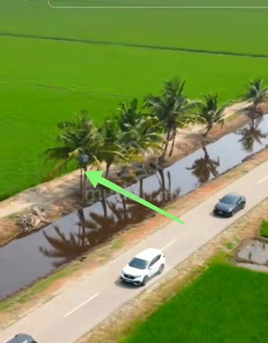 Tanah Sawah 1.46 ekar Geran Individu Sekinchan For Sell 1