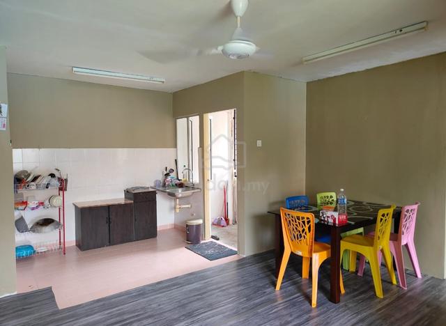 Damiana Apartment 5