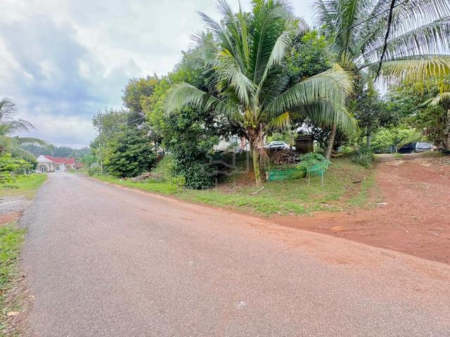 NEGO TEBAL BIG SIZE BANGLO LOT Jalan Masjid Kampung Jijan Labu 3