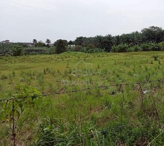 Kelapa Sawit Agricultural Land For Sale 1