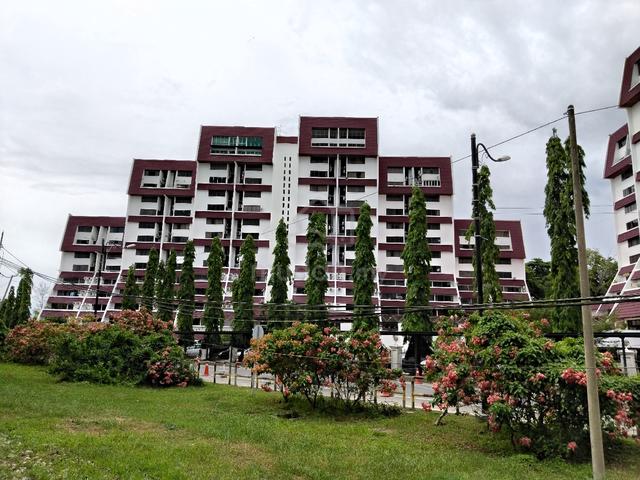 Waikiki Condominium 1