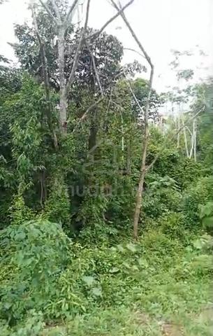 2 Ekar Tanah Pokok Getah Tua Jalan Kg Tungku Tiga Segamat Johor 1
