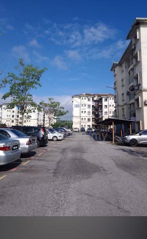 Birchwood Court 1