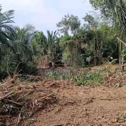Land for Sale Papar Town 0.57acres (NT) 1