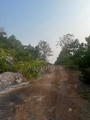 100 ekar Tanah Pertanian Dalam Zoning Industri Segamat Johor 1