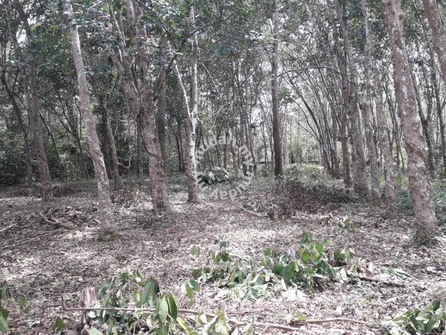 Tanah Pertanian 5.71 ekar -Freehold ( Kebun Getah ) Kuantan,utk dijual 1