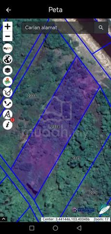 Agriculture Land | Pekan, Pahang for Sale 1