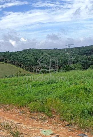 Senai Seelong Land For Sale 2