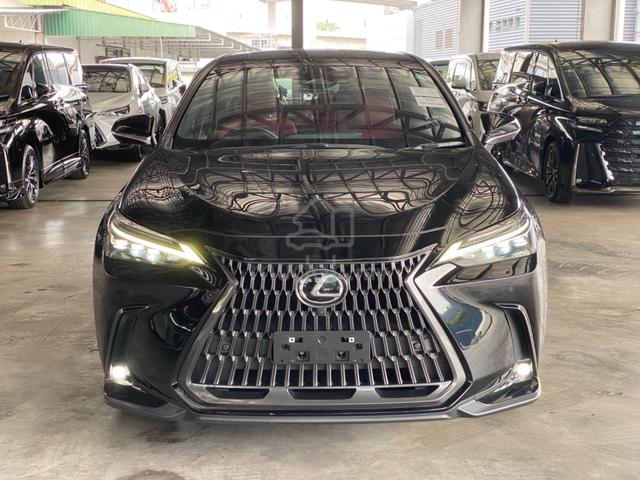 2023 Lexus NX250 2.5 LUXURY (A) - 1