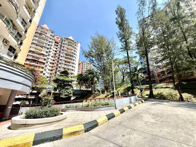 Venice Hill 1