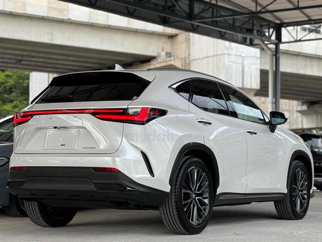 2022 Lexus NX250 2.5 LUXURY 8k km Mileage 5A - 3