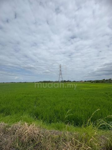 Tanah pertanian untuk di jual 1 ekar 1