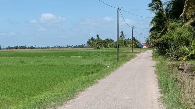 TANAH BENDANG untuk di jual❗ 1 NAMA💥💥 Yan Kedah 1
