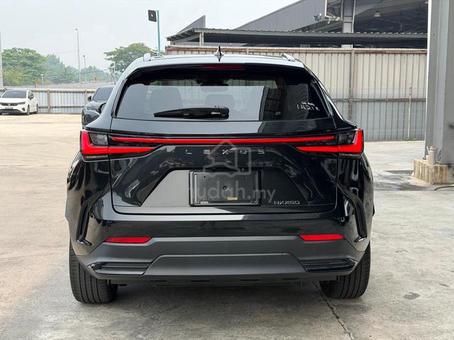 2023 Lexus NX250 2.5 Version L Mark Levinson Offer - 3