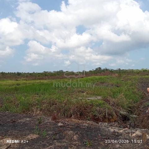 Tanah Sedili Besar 3.97 Ekar Leasehold Agriculture 1