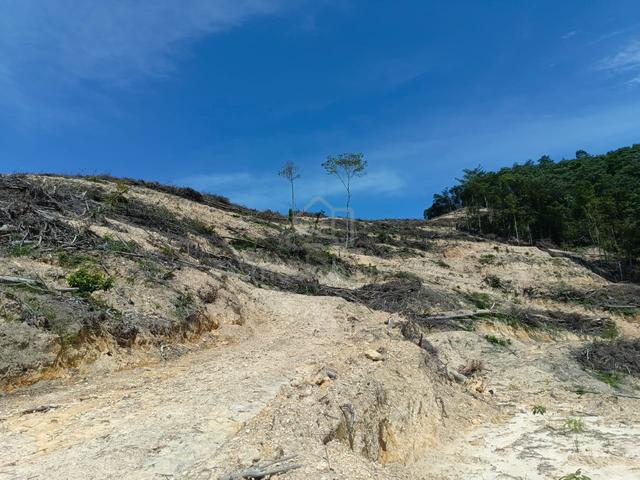 TANAH UNTUK DIJUAL–ASET PELABURAN (Low Maintenance, High Potential 🌱) 1