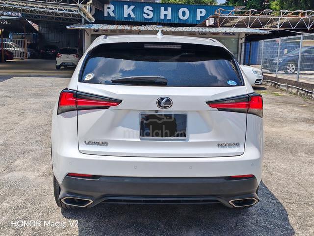 2019 Lexus NX300 2.0 with 360 CAMS PANORAMIC ROOF - 4