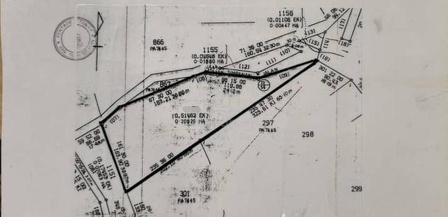 Sungai Boang, Sungai Bakap, Sungai Jawi - Empty Land For Sale 2
