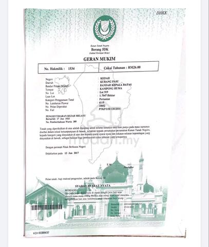 Tanah lot untuk dijual 1