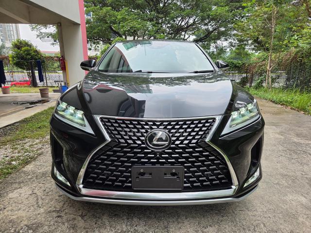 NEW ARRIVAL 2022 Lexus RX300 2.0 LUXURY OFFER UNIT - 3