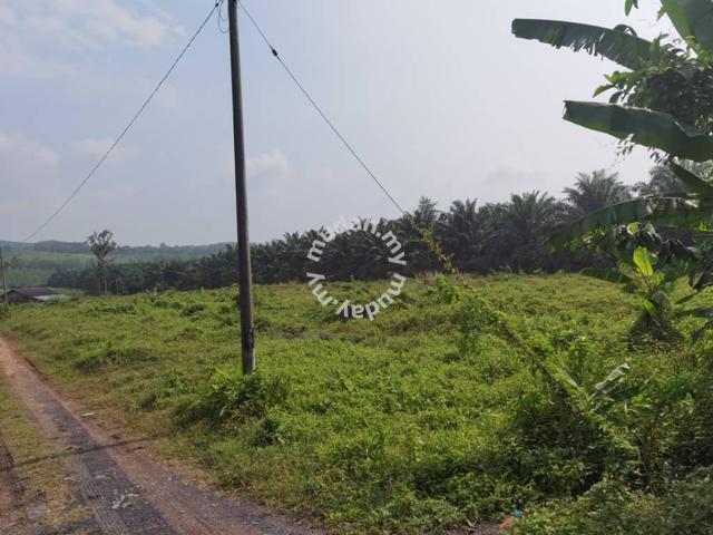 Facing Main Road Agricultural Land Napoh Jitra For Sale 2