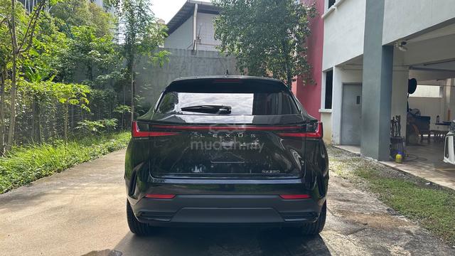 HuD BsM 2023 Lexus NX250 VERSION L LED LIGHTS - 4