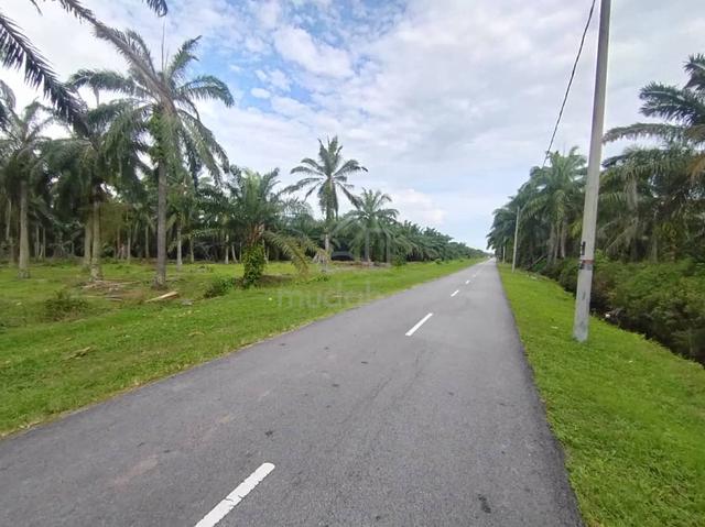 Banting Kanchong Land 5.3 Acres 1