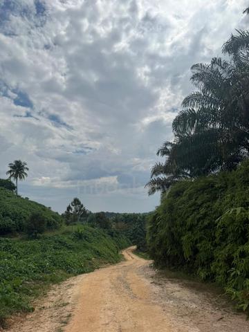 Tanah 2.5 Ekar di Keliang, Kalumpang, Hulu Selangor 1