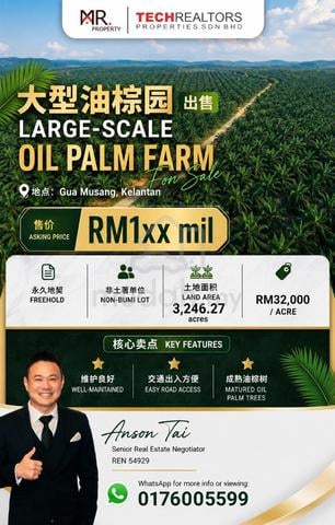 LARGE-SCALE Oil Palm Farm Gua Musang, Kelantan FOR SALE 1