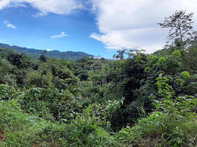 CL 999 Agriculture Land, Telibong Tamparuli 1
