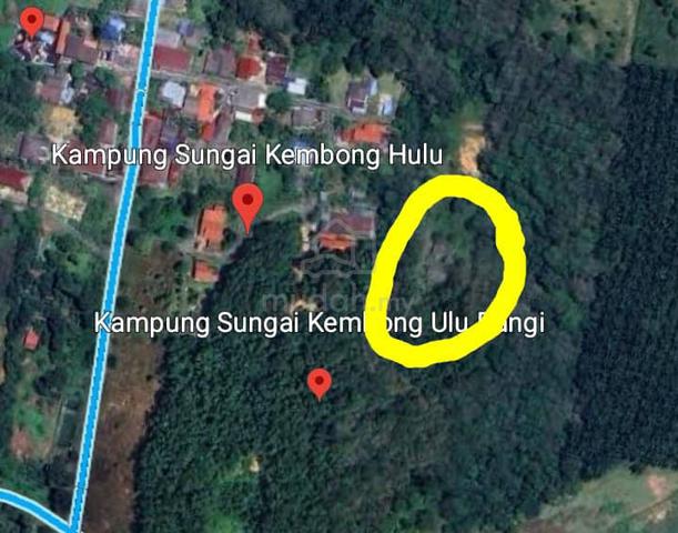 Village Residential cum Farming land 1