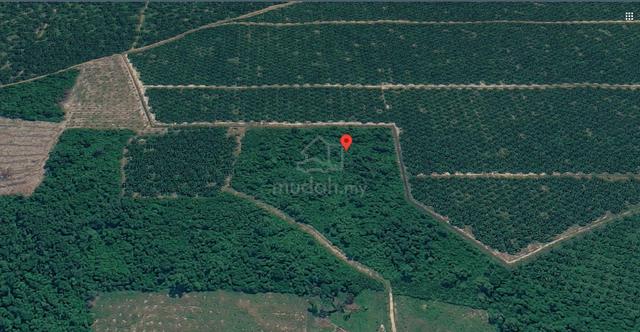 Tanah Pertanian Untuk Dijual - Mukim Pulau Manis, Pekan Pahang 1