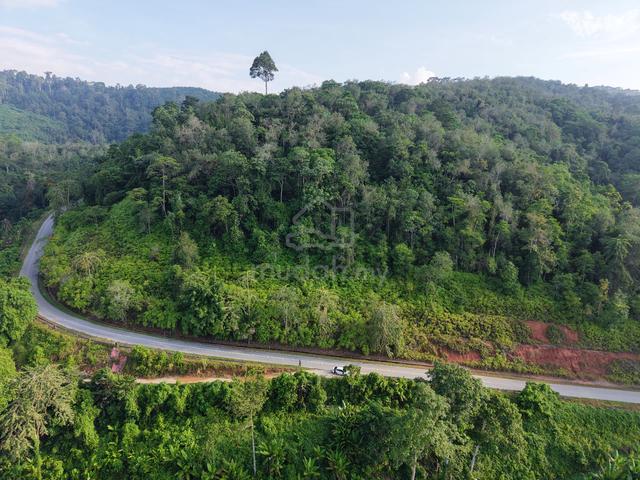 3.8 Ekar Tepi Jalan Ulu Dong Raub (BERBUKIT+VIEW CANTIK+INFRA MUDAH) 1