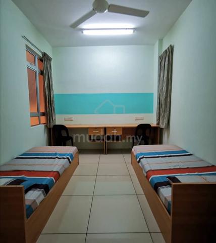MMU Ixora apartment male single room 1