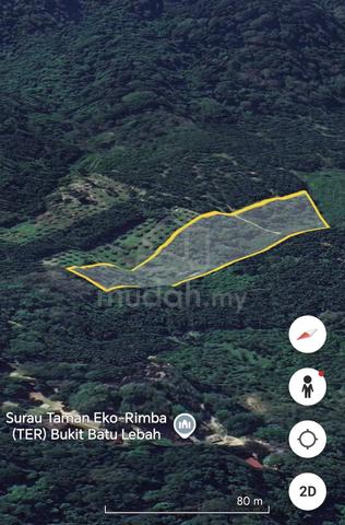 Tanah Pertanian 2.6 ekar Kg Bukit Senggeh Jasin untuk dijual 1