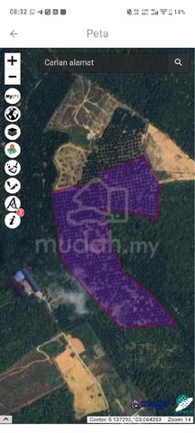 Tanah Sawit untuk dijual 1