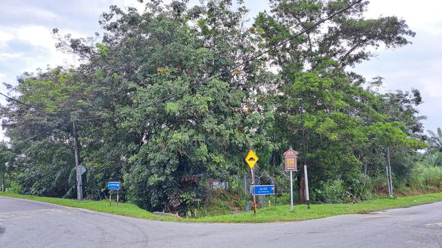 Tanah Pertanian 0.987 ekar Jalan Koko Kg Medan Sijangkang Kuala Langat 3