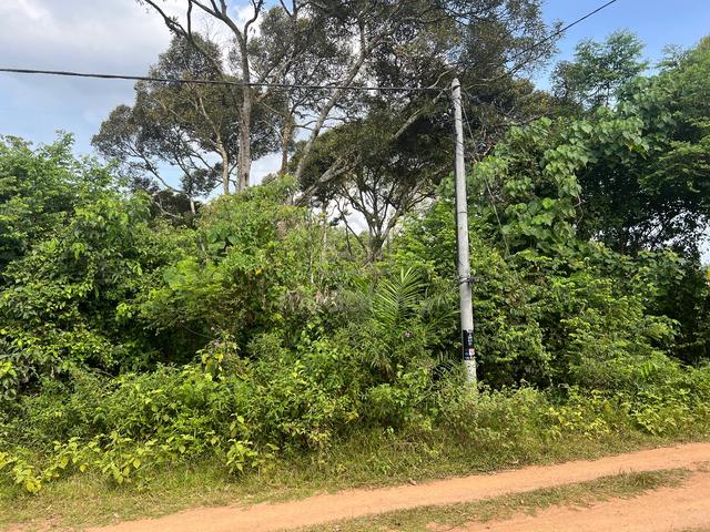 Below Market Value Multi purpose Agri Land (1 Acre) for Sale 5