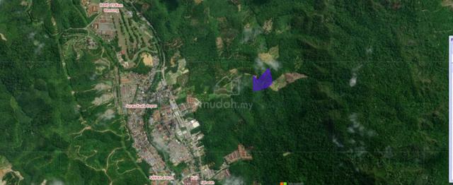 3.103S. DURIAN LAND FOR SALE in BENTONG, PAHANG!