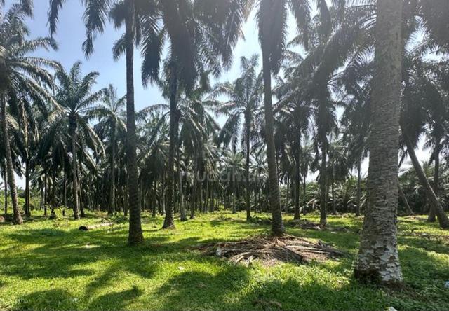Industry Land 1