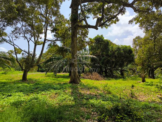 5 acres Agri Land at Pasir Panjang, Port Dickson, Negeri Sembilan 1