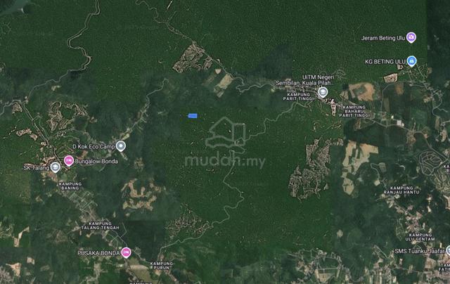 Murah Tanah Pertanian sesuai Dusun Tanjung Ipoh Terachi Kuala Pilah 5