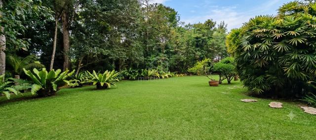 Prime hill top residential Land FOR SALE 1