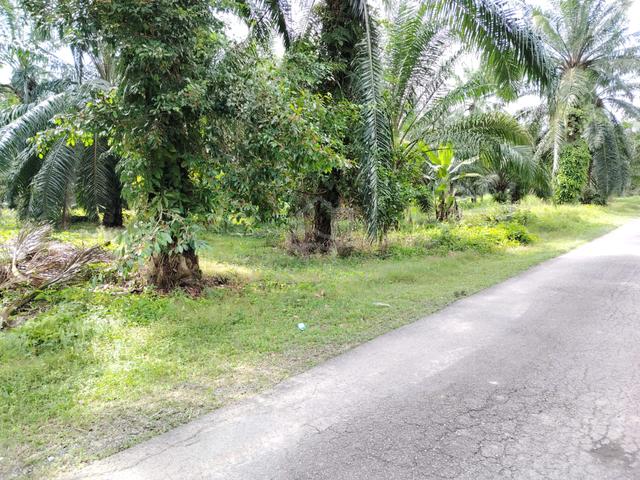 Sijangkang Land Telok Panglima Garang 📌5 Acres 📌Beside Tar Road 1