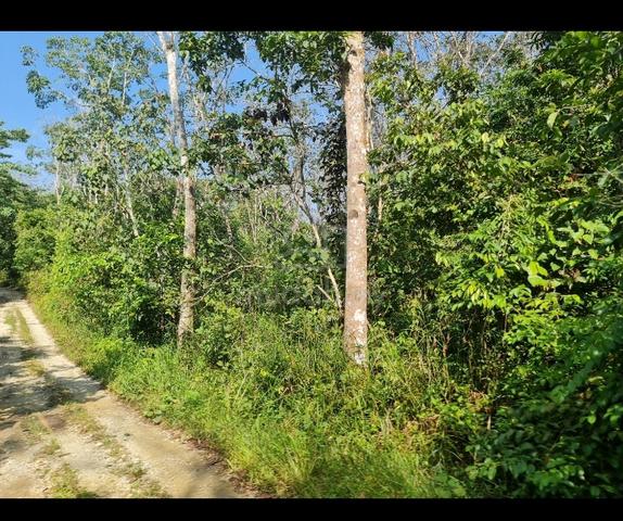 FLAT/FH NON BUMI😊 2.07 ac behind LATEX KPG PAK DOLAH near KMTG TOLL 5