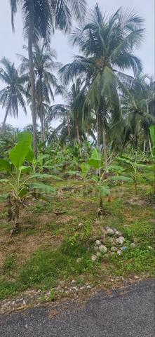 Tanah Pertanian 2Ekar Ayer Baloi Pontian 1